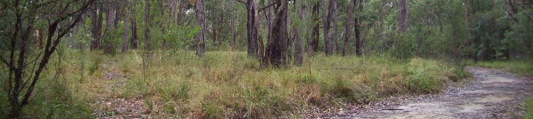 Dallas Brooks Scout Park